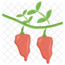 Red Paper Plant Red Chilli Spices Icon