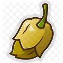 Chili Spicy Hot Icon