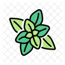 Peppermint Aromatherapy Color Icon