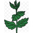 Peppermint Mint Herb Icon