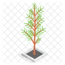 Planta Decorativa En Maceta Icono