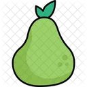 Icono Plano De Ilustracion De Frutas De Scout Con Contorno Coloreado Icono