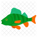 Perch Fish Fish Aqua Life Icon