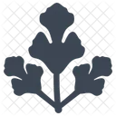 Perejil  Icono