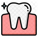 Perfected gums  Icon