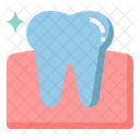 Perfected gums  Icon