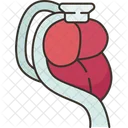 Perfusion Organ Health Icon