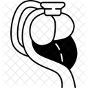 Perfusion Organ Health Icon