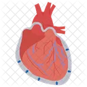 Pericardial Disease Acute Pain Cardiac Disorder Icon