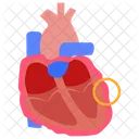 Pericarditis Angina Apoplexy Icon