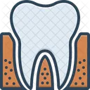 Periodontia  Ícone