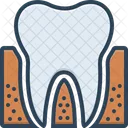 Periodontics Dental Teeth Icon
