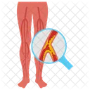 Peripheral Artery Disease Vascular Health Arterial Blockage Icon