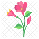 Periwinkle Flower Blossom Icon