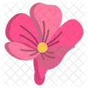 Periwinkle Flower Flowers Icon