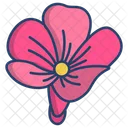 Periwinkle Flower Flowers Icon