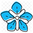 Periwinkle Periwinkle Flower Greater Periwinkle Icon