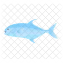 Permit Fish  Icon