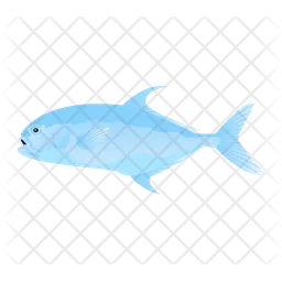 Permit Fish  Icon