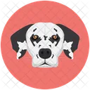 Perro Perro Dalmata Animal Icono