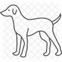 Perro Mascota Mamifero Icono