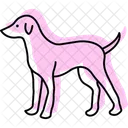 Perro Mascota Mamifero Icono