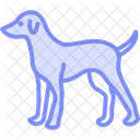 Perro Mascota Mamifero Icono