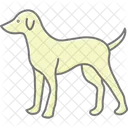 Perro Mascota Mamifero Icono