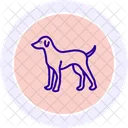 Perro Icono