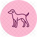 Perro Mascota Mamifero Icono