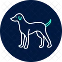 Perro Mascota Mamifero Icono