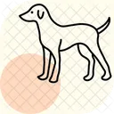 Perro Mascota Mamifero Icono