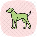 Perro Mascota Mamifero Icono