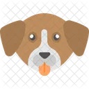 Perro Cara Marron Icon