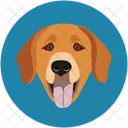 Perro Mascota Animales Icono