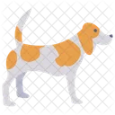 Perro Animal Mascota Icon