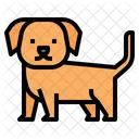 Perro Cachorro Mascota Icono