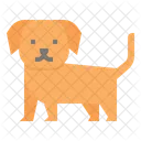 Perro Cachorro Mascota Icono