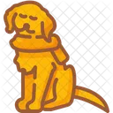 Perro Mascota Reino Animal Icono