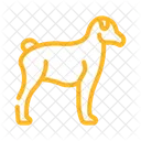 Perro  Icono