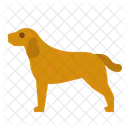 Perro  Icono