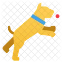 Perro  Icono