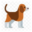 Perro  Icono