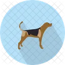 Perro  Icono