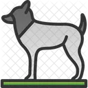 Animal Perro Pie Icono