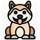 Perro akita  Icono