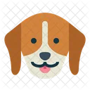 Perro beagle  Icono