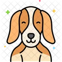 Perro beagle  Icono