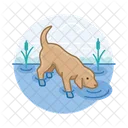 Perro Bebiendo Agua Perro Bebiendo Perro Icono