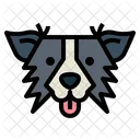 Perro collie fronterizo  Icono